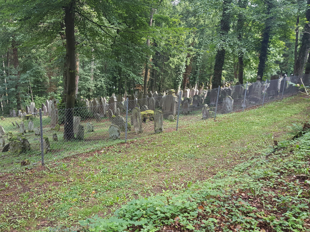 Jüdischer Friedhof Rexingen景点图片