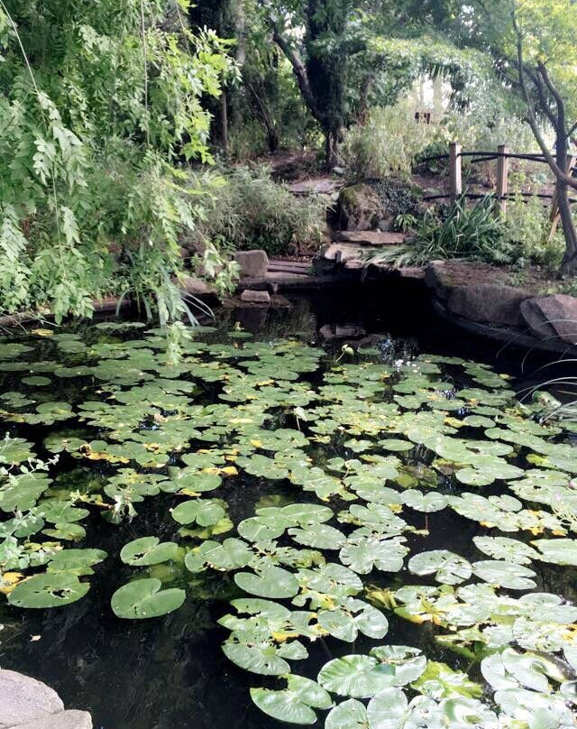 Jardin Botanique de la Charme景点图片