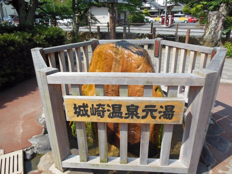 Yakushi Park Pocket Park-丰冈市必去景点