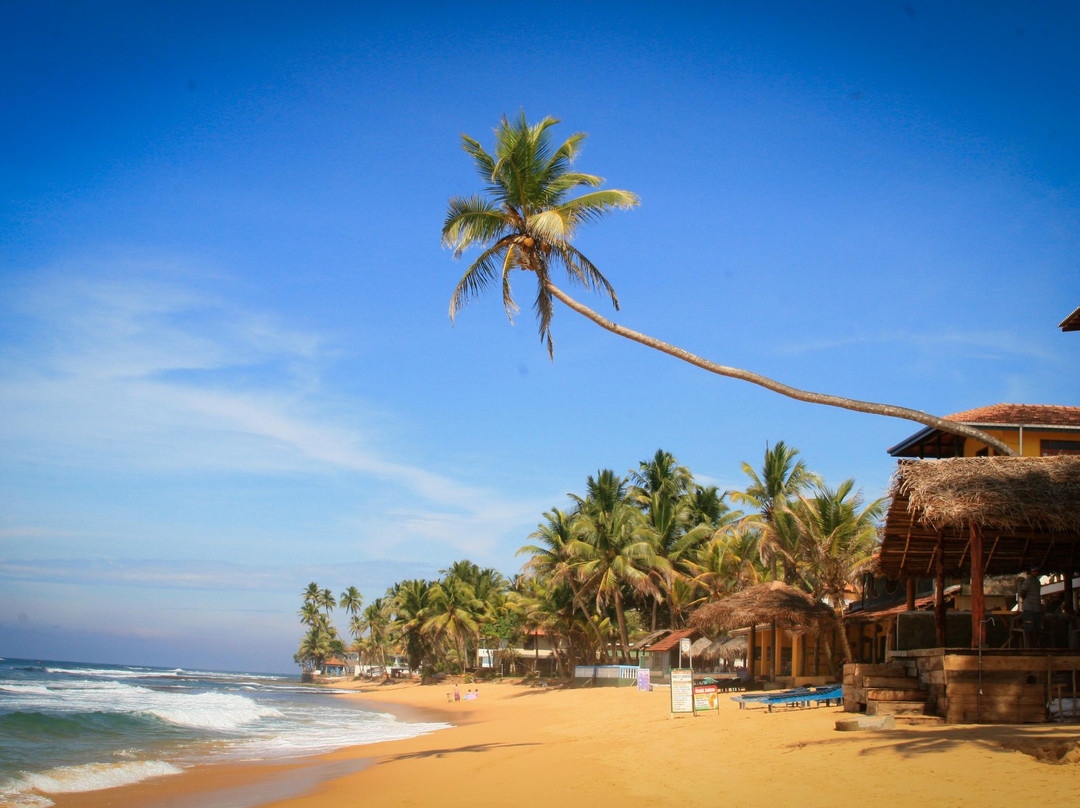 Negombo Fish Market-尼甘布必去景点