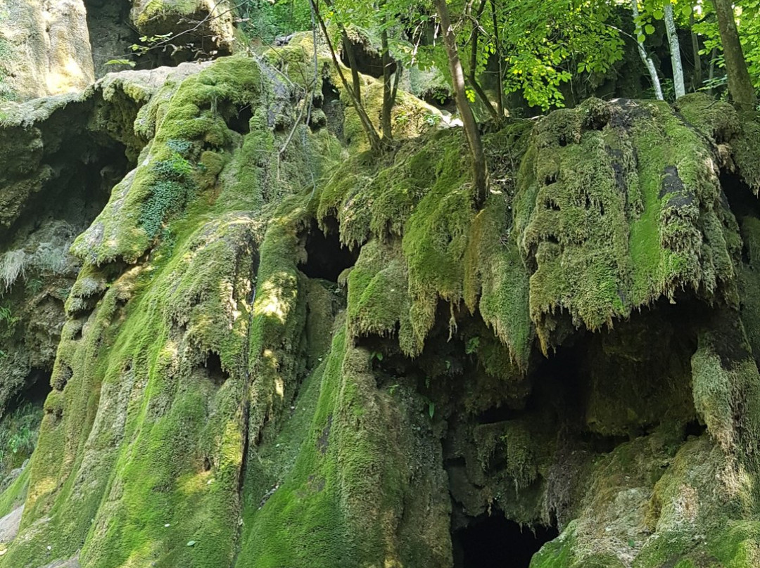 Beusnita Waterfall景点图片