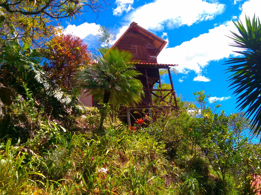 Cabanas Río Yambala