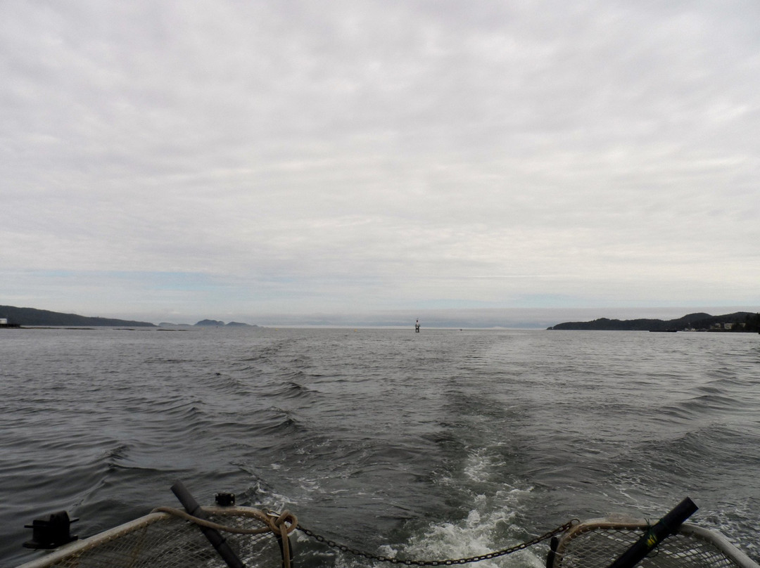 Gods Pocket Marine Provincial Park景点图片