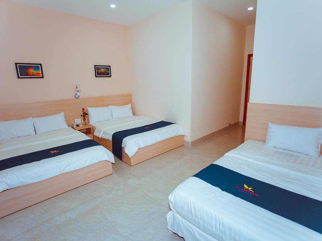 Thanh Mai Hotel主图