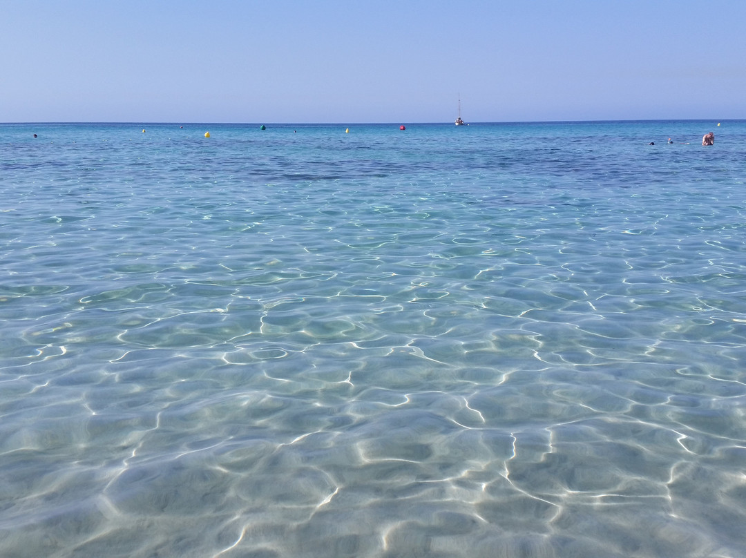 Playa de Son Bou-阿拉约尔必去景点