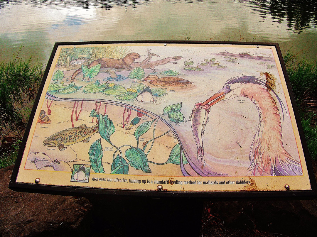 Lacamas Heritage Trail-Camas必去景点