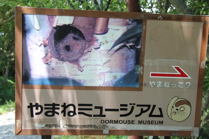 Keep Yamane Museum-北斗市必去景点