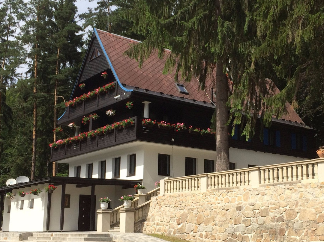 Sokolov酒店住宿-Hunting Lodge Vitkov