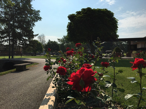 Roseland Golf & Curling Club-温莎堡必去景点