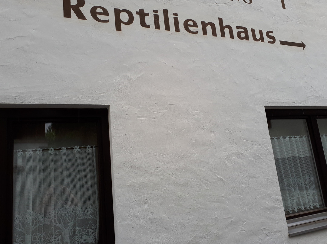 Reptilienhaus Oberammergau-奥伯阿默高必去景点