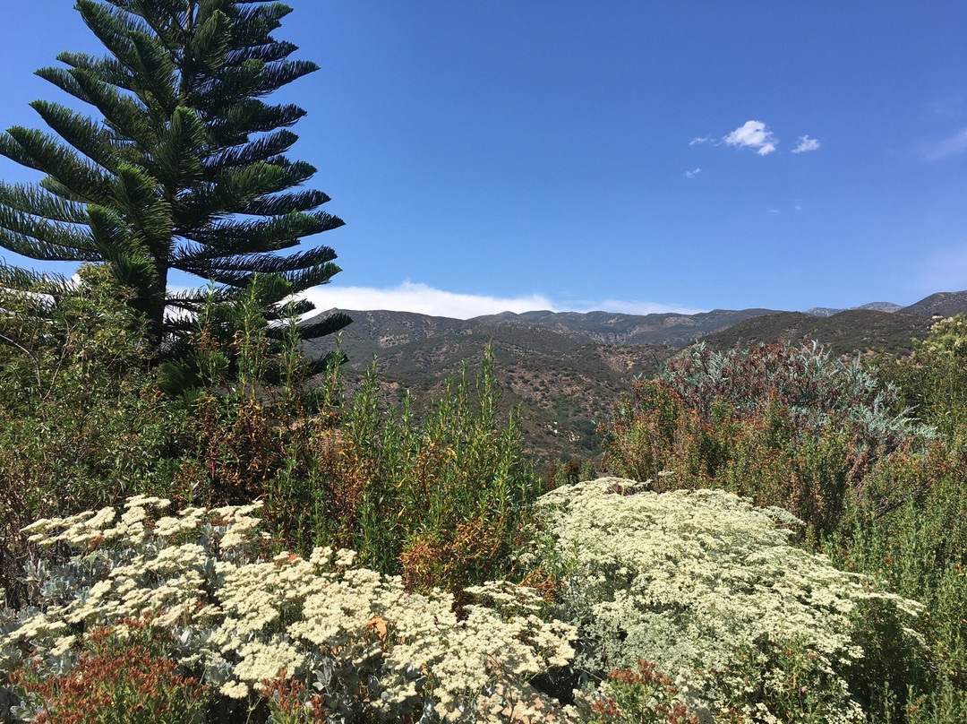 Meditation Mount-奥海必去景点