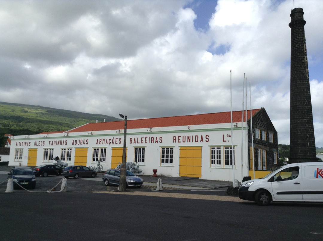 Pico旅游景点-Museu dos Baleeiros (Whaler’s Museum)