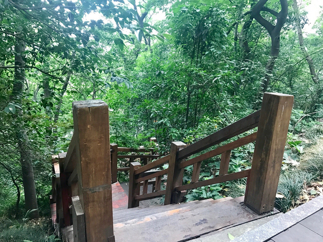 伯先公园-镇江市必去景点