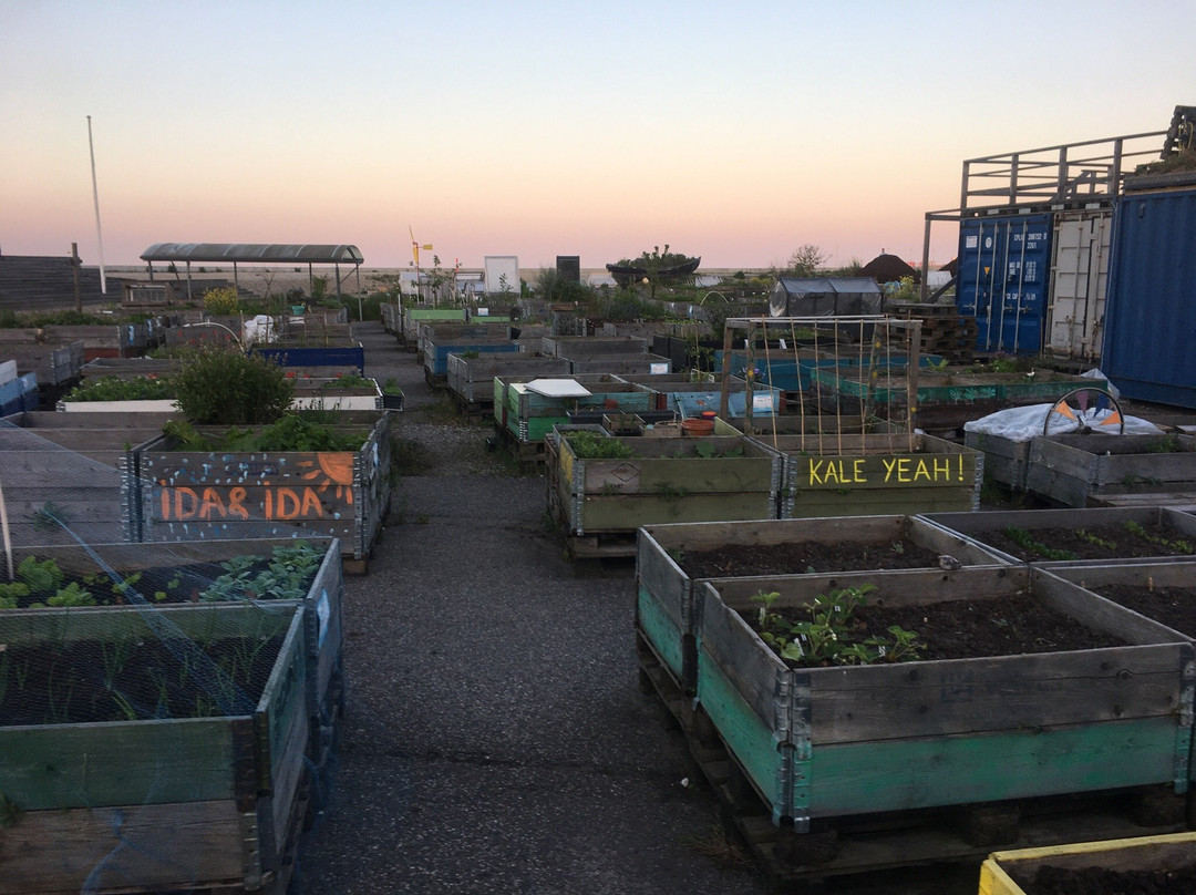 Ø-Haven-欧胡斯必去景点