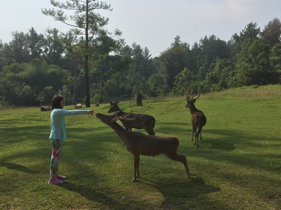 Penangkaran Rusa Cariu-茂物必去景点