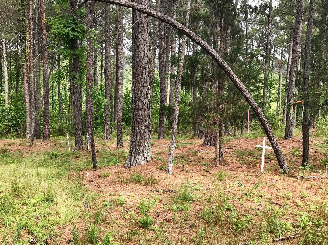 Kettle Creek Battlefield-Washington必去景点