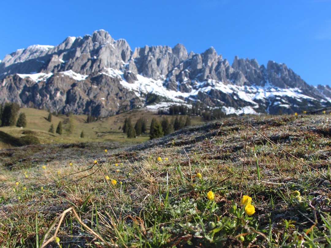 MandlWand Lodge