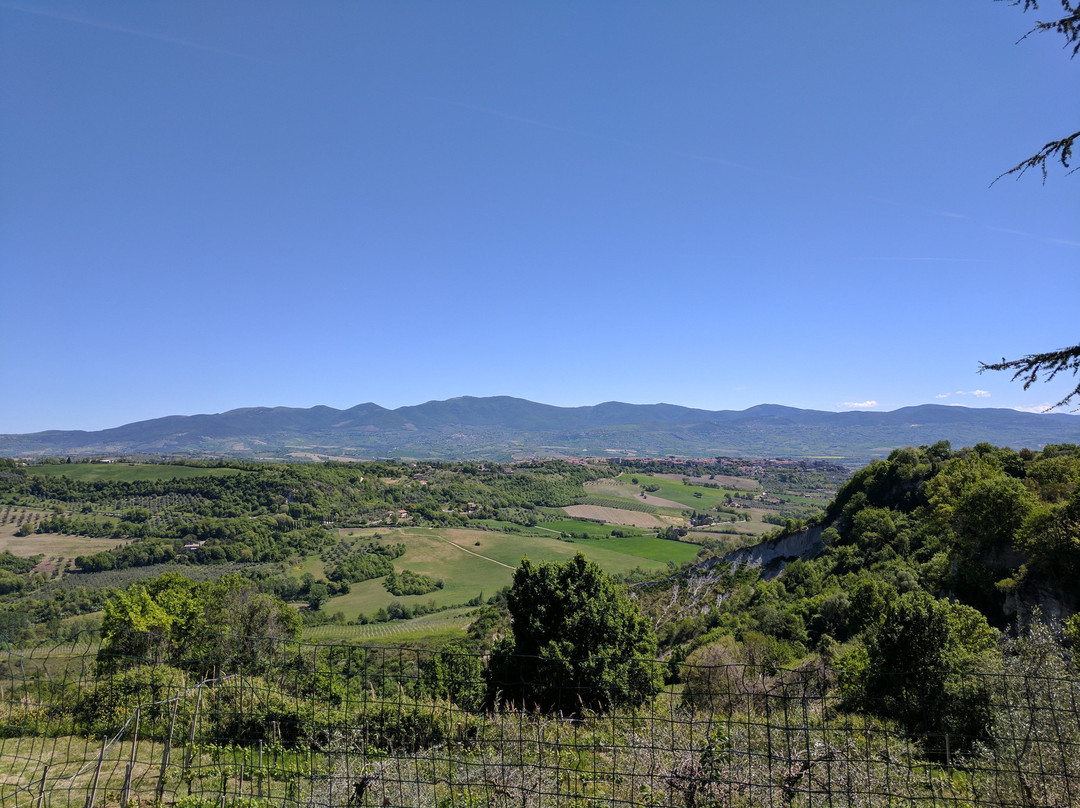 Torre San Severo旅游景点-Tenuta La Pazzaglia