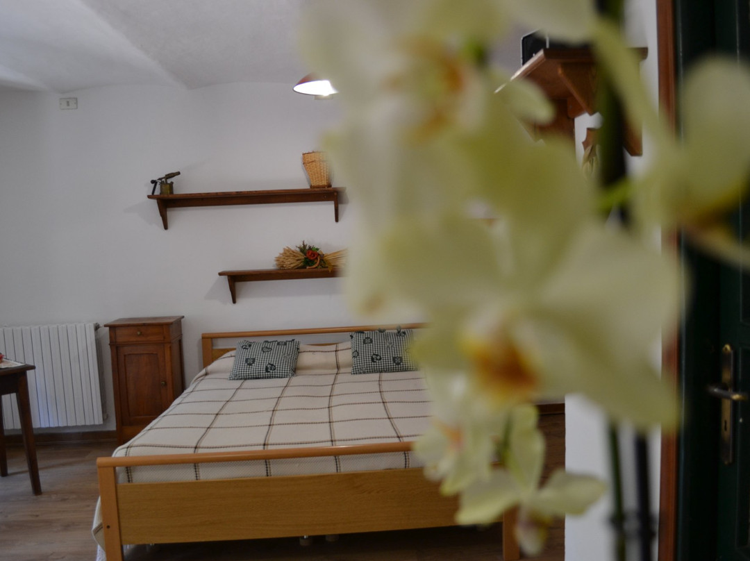 B&B 'L Cumbalot主图