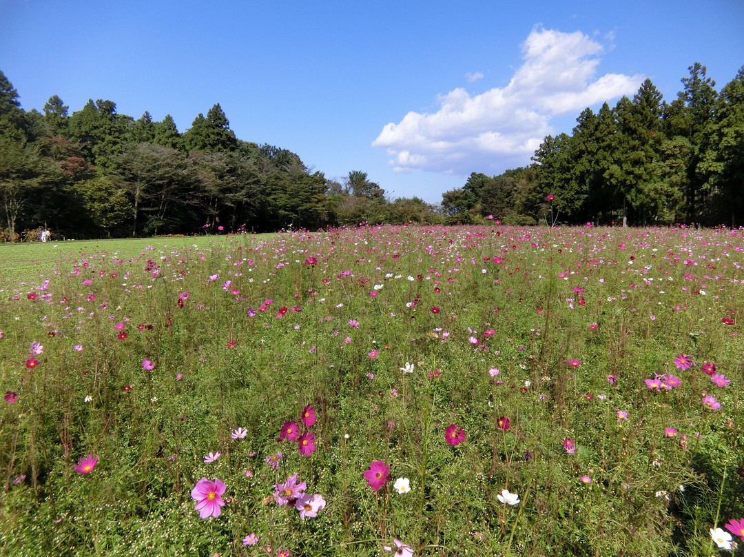 Meiji no Mori/Kuroiso Michi-no-Eki-那须盐原市必去景点