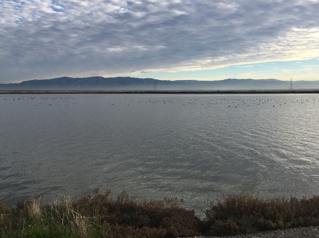 Bay Trail-山景城必去景点