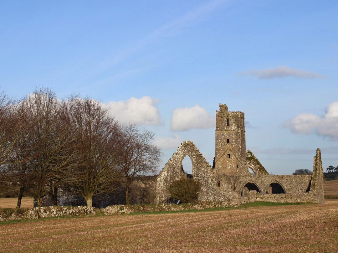 Kilcrea Friary景点图片