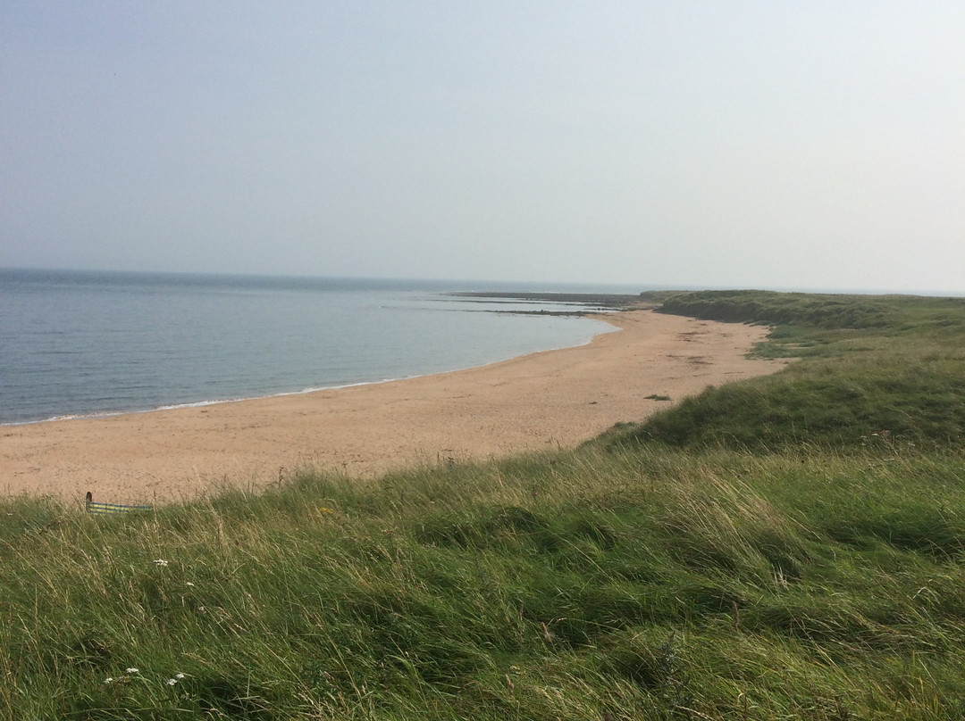 Chestnut Tree House主图