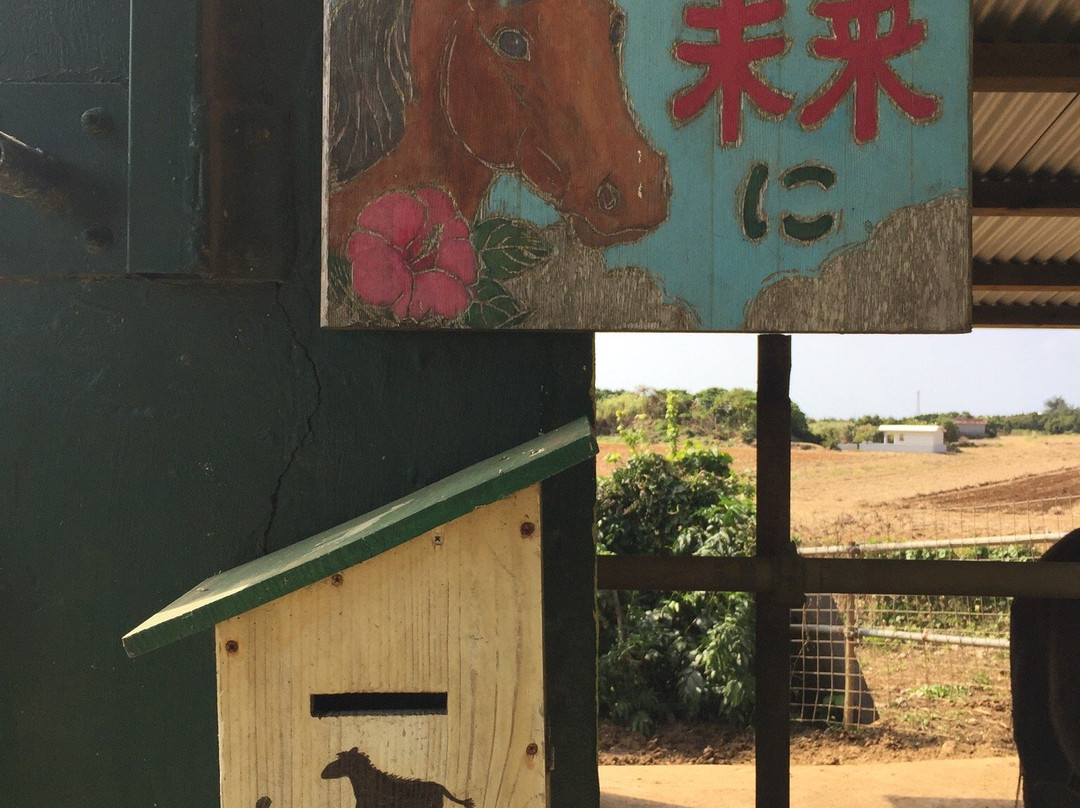 Nikadori Farm-宫古岛市必去景点