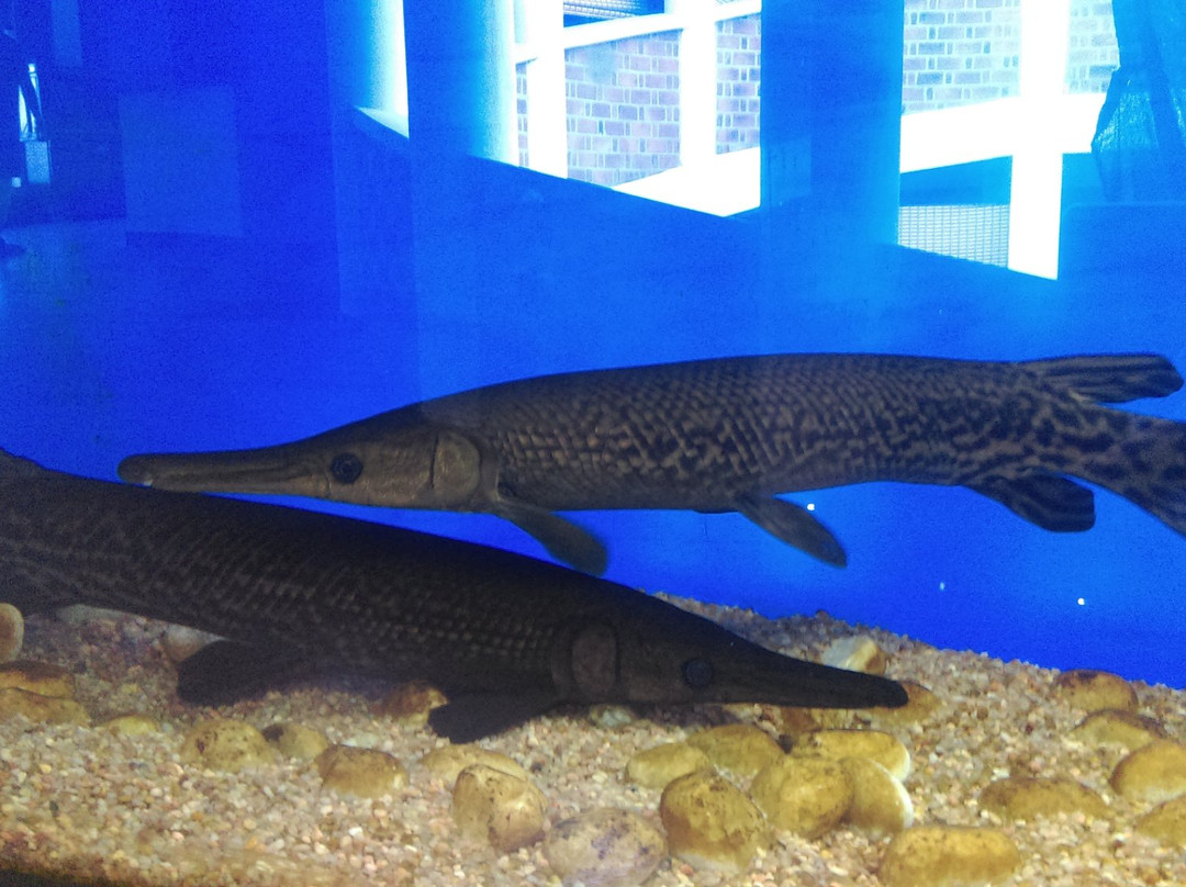 Varkala Aquarium-瓦卡拉必去景点