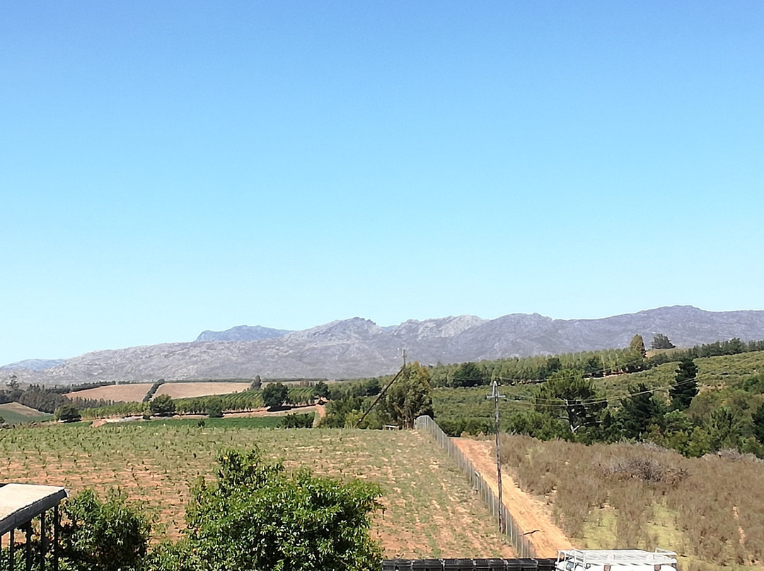 Elgin Ridge Wines-Elgin必去景点