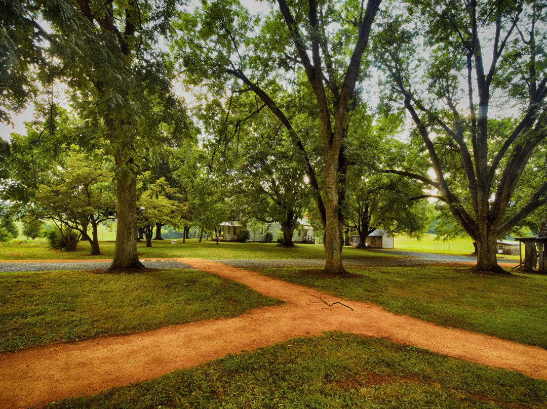 Blackwood Farm Park景点图片
