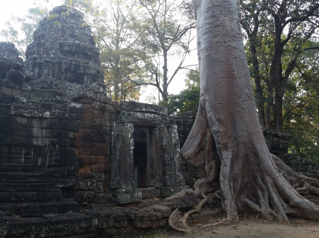 See Siem Reap Tours景点图片