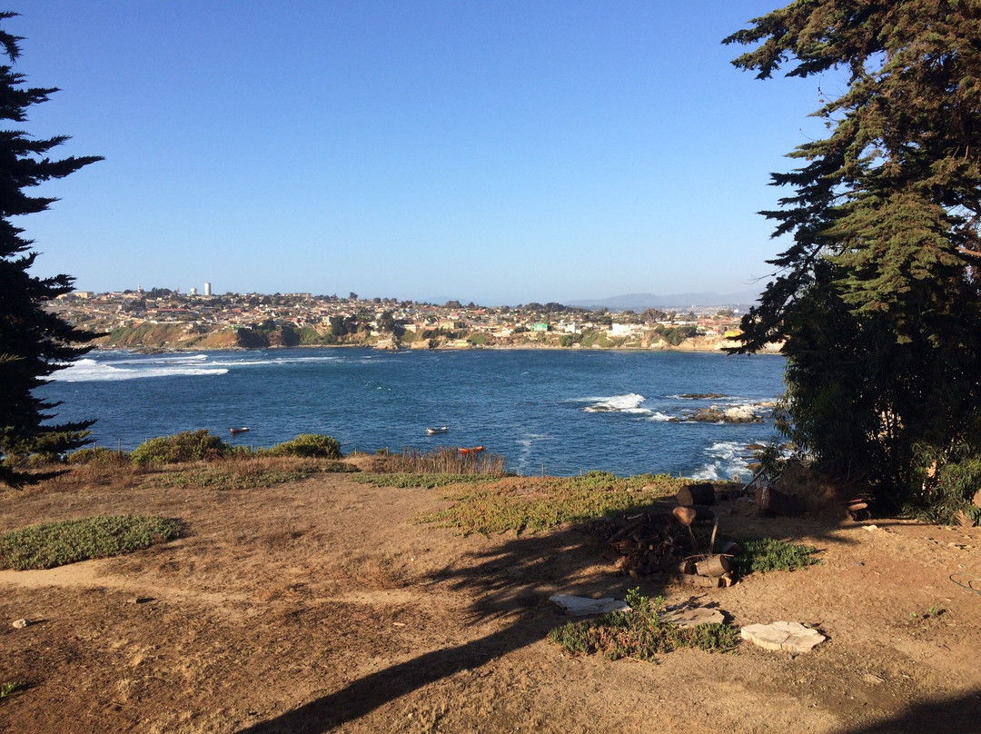 Hotel Bahia de Quintero主图