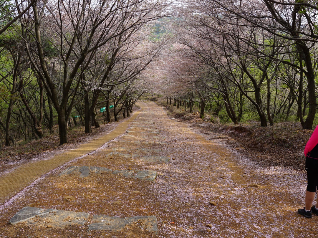 Yeomposan Mountain-蔚山必去景点