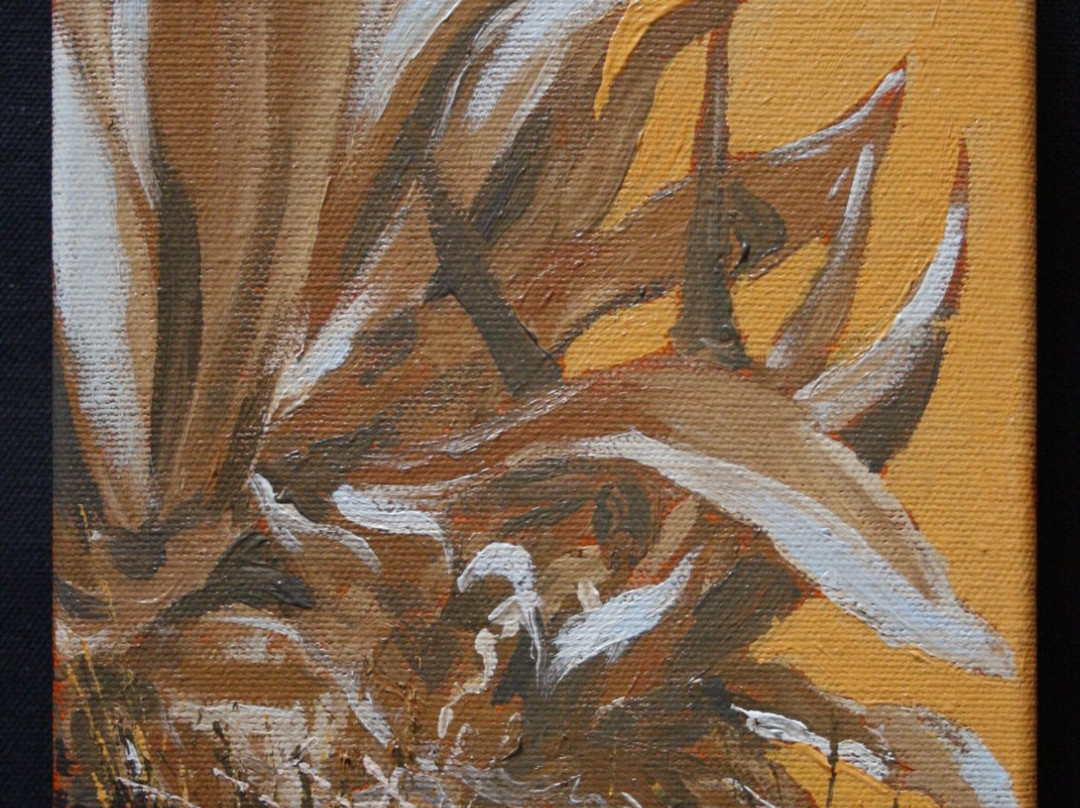 Juan Zaragoza Galeria-圣米格尔护城必去景点