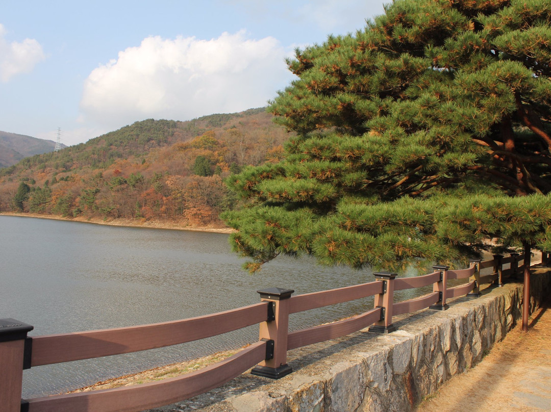 Beopgi Fountainhead-梁山市必去景点