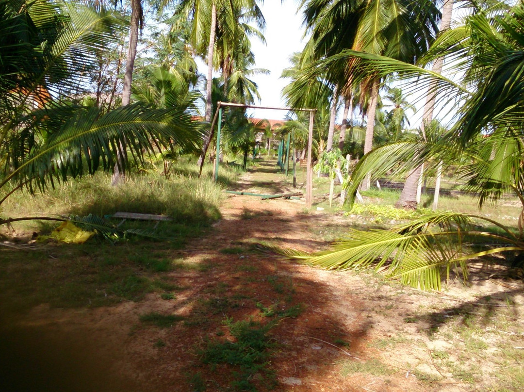 Coconut Cultural Park-卡尔库达必去景点