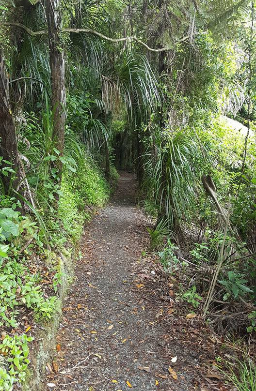 Pohuehue Waterfalls-瓦卡沃夫必去景点
