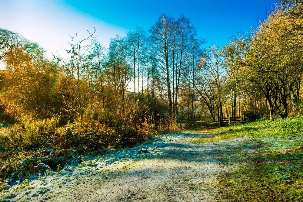 Waseley Hills Country Park-伯明翰必去景点