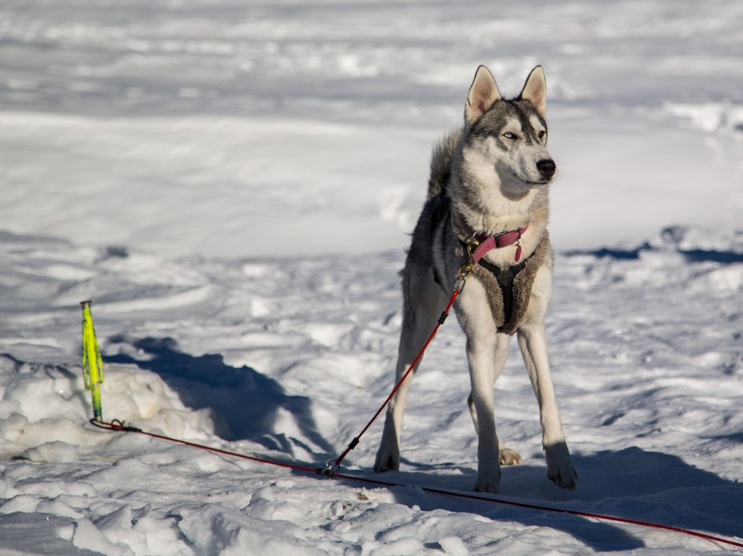 L'Attribut Rando Private Day Tours-Nevache必去景点