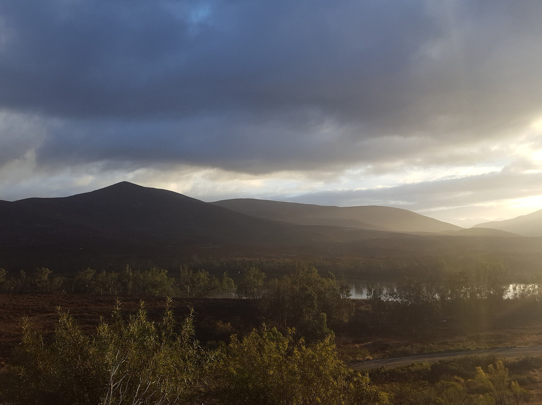 Mountain Hawk Park-丘拉维斯塔必去景点