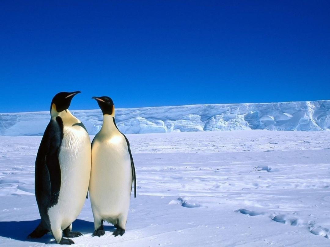 Planet Ice Coventry-考文垂必去景点