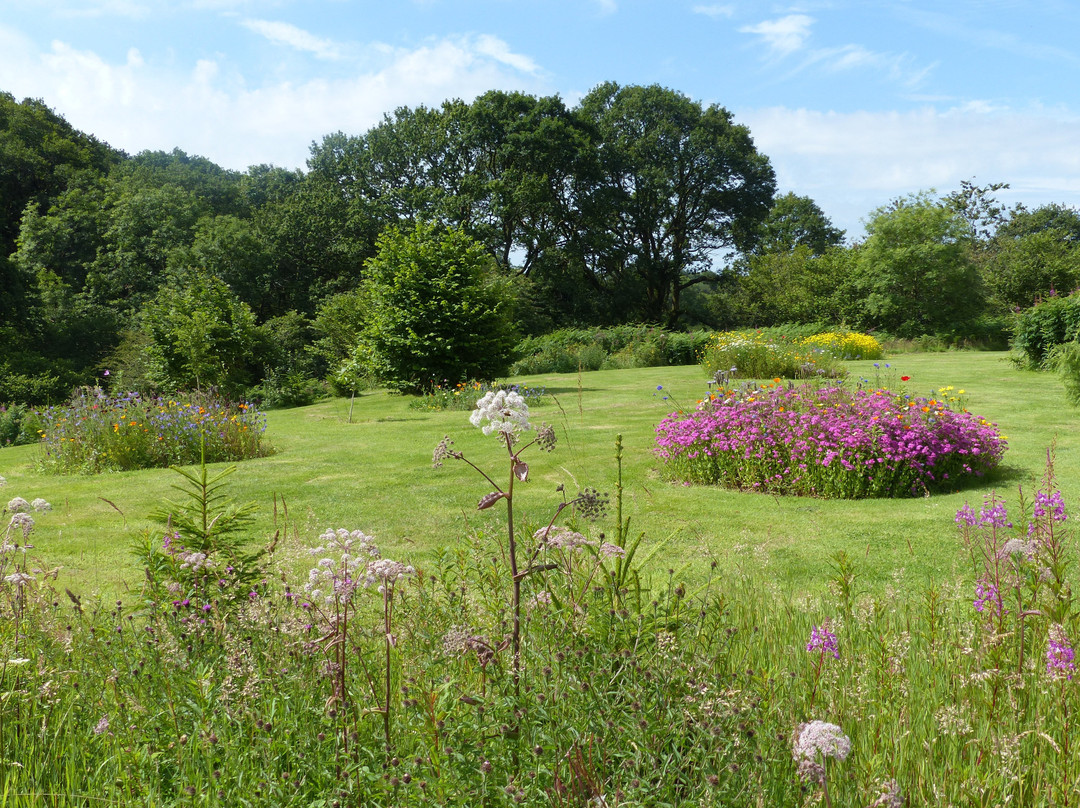Glyn Bach Gardens景点图片