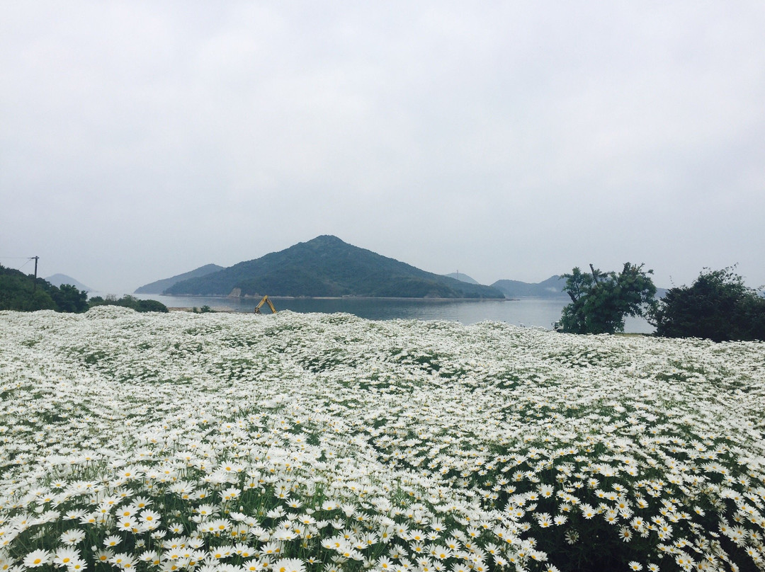 Flower Park Urashima景点图片