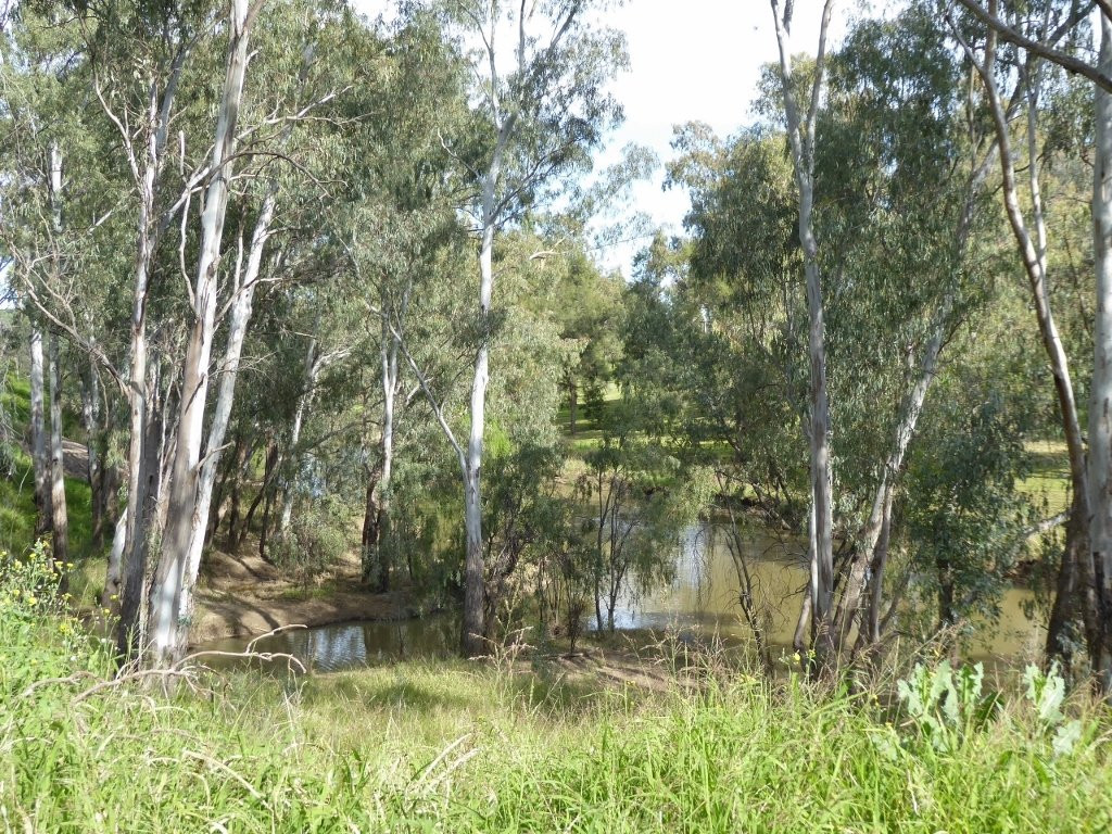 Moree Visitor Information Centre景点图片