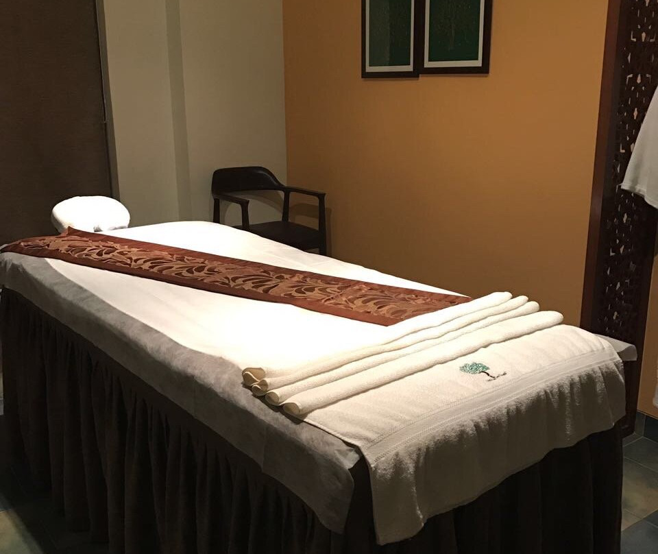 Heaven on Earth Wellness Spa景点图片