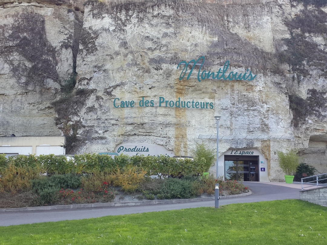 Maison Laudacius - Cave De Montlouis-Dur-Loire景点图片