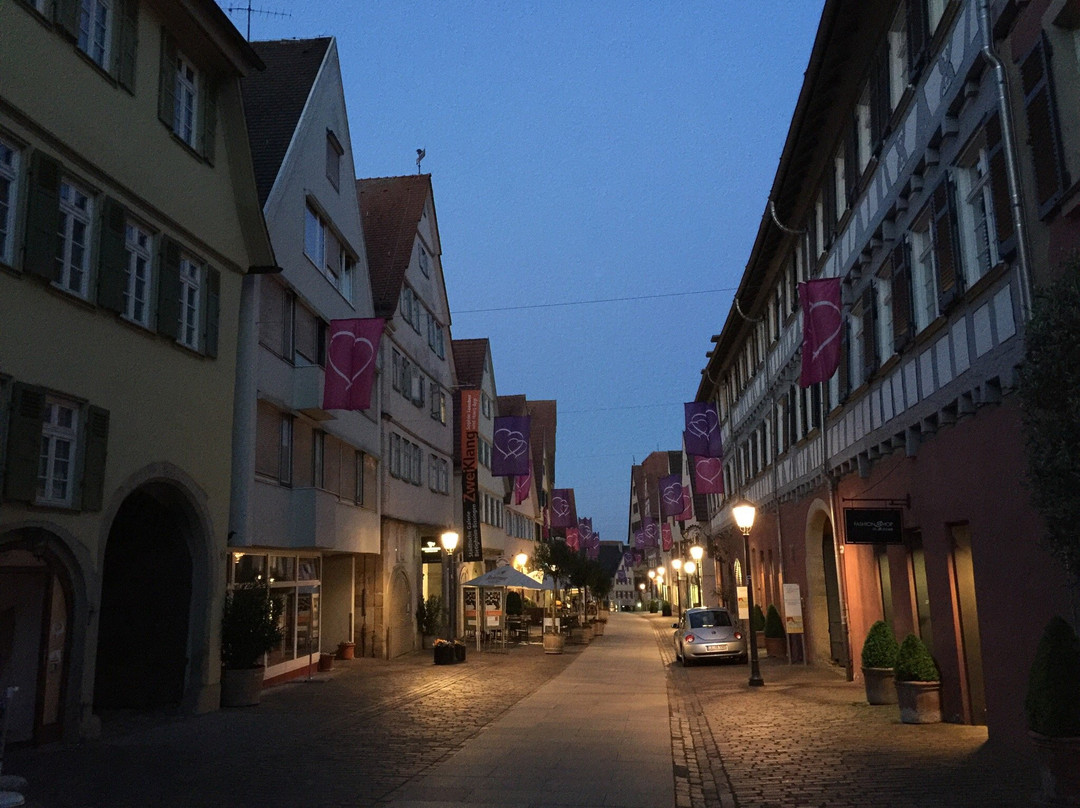 Badepark Ellental景点图片