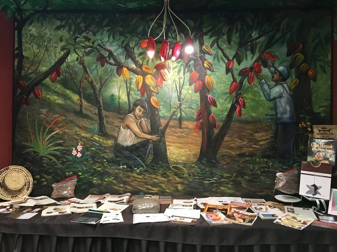 Chocolate Museum-Vicoforte必去景点