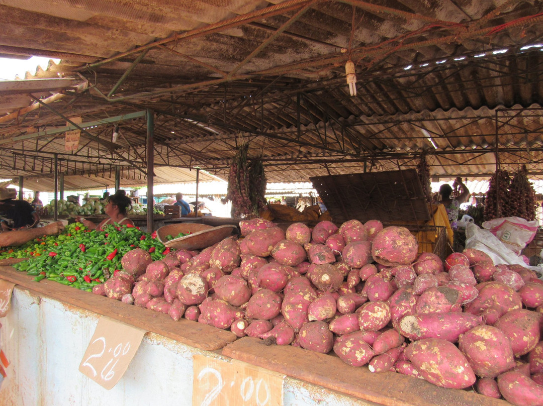 Mercado Agropecuario El Rio景点图片